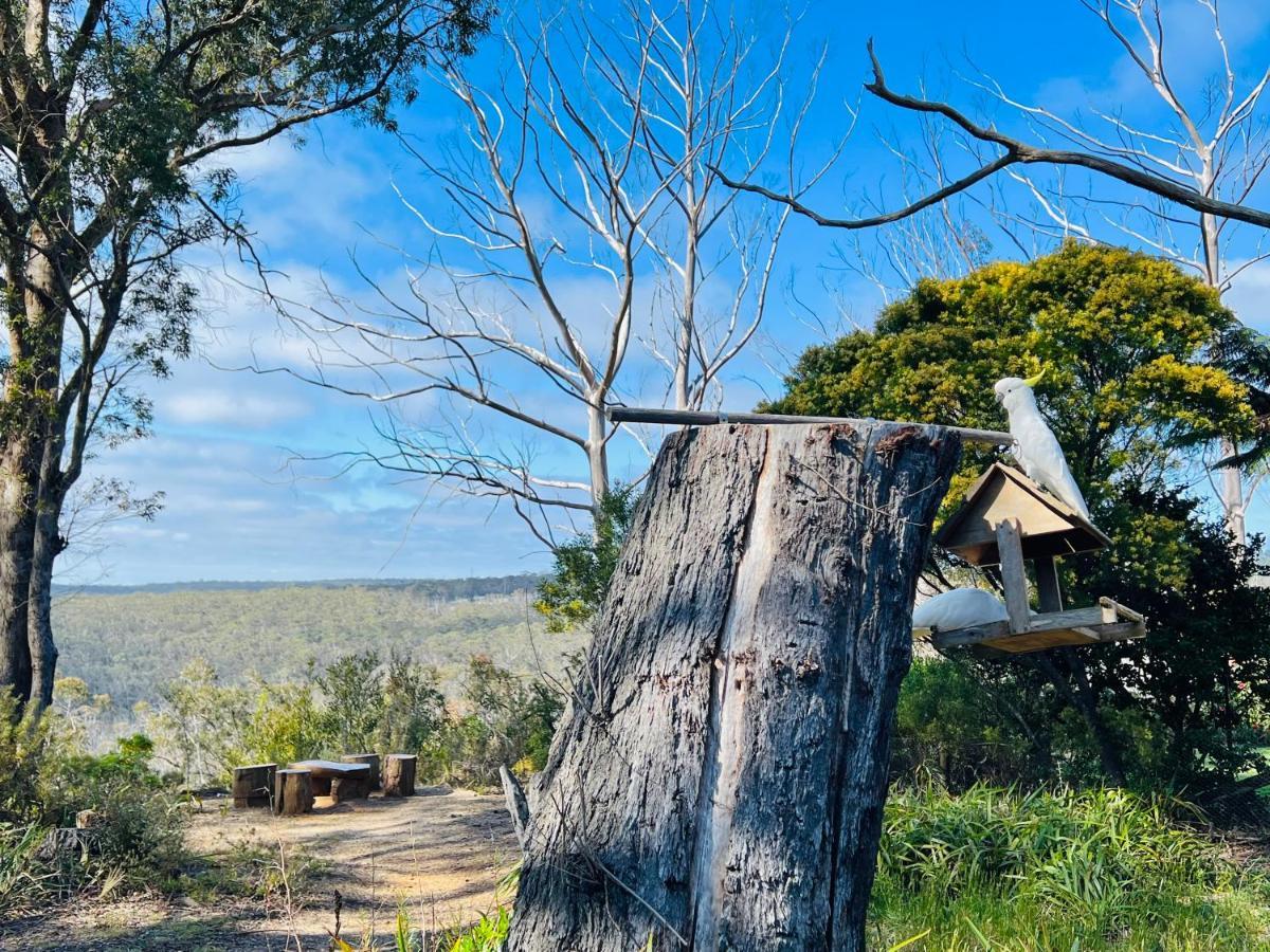 Canyon Cottage Majestic View Blackheath Exterior foto